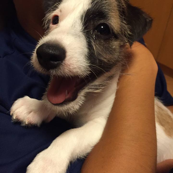 9ae1b7f1 7d41 4717 a56b c0cfd8f18b83