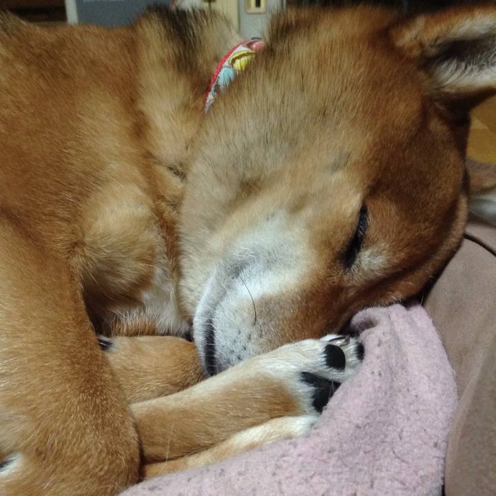 9ae21f50 52c3 478f a2cf 029ba7ec04d5