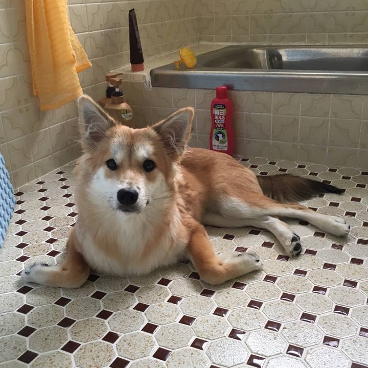 9ae28b15 9407 4378 9f1a 49e13fdffc1d