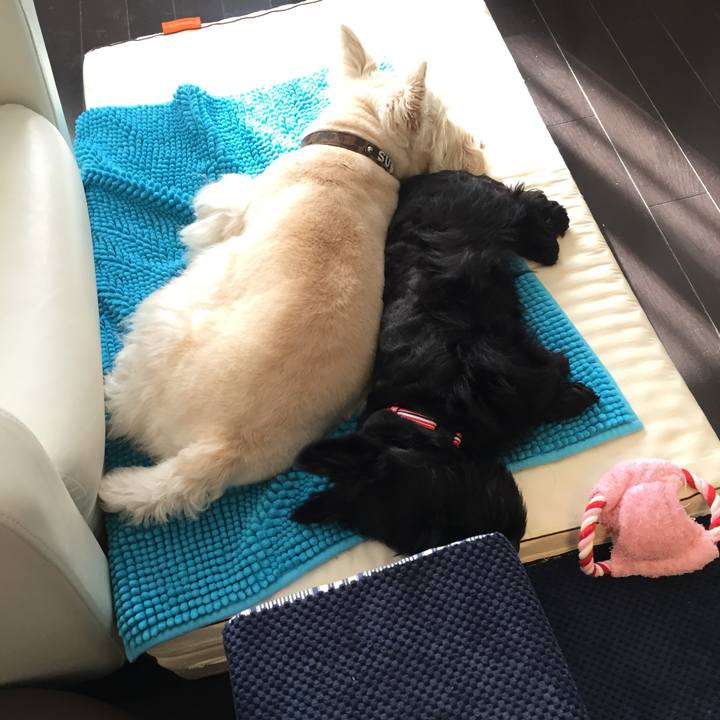 9ae29d84 c9cd 4b72 95e1 4c8992ab1ca1