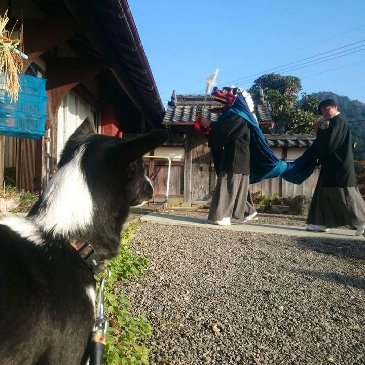 9ae2cae4 9ede 4745 916f df5fcec79aa4