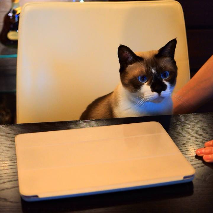 9ae35935 62ff 4623 8171 143cd7c13c45