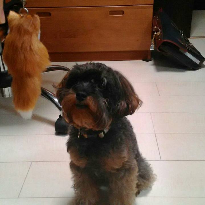 9ae3fc00 774b 4981 8ad9 64d8425fcd75