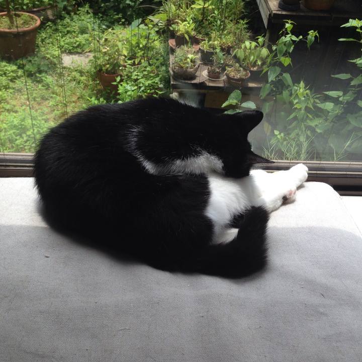 9ae42ab9 9c8f 4553 9e5e d5dd7f5d54dc