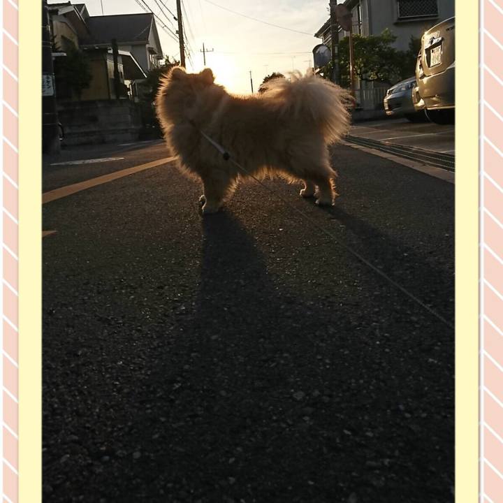 9ae43189 2d37 4803 b9c8 7a54df752010