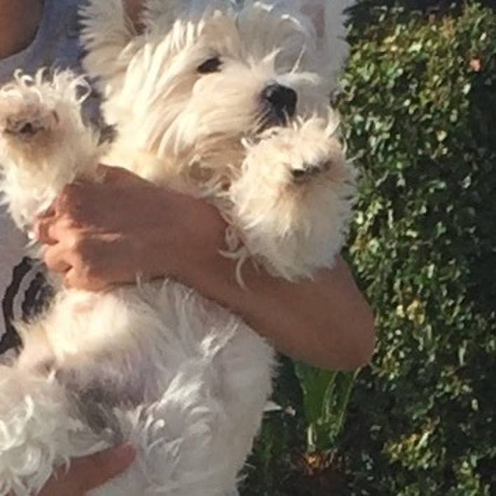 9ae4ae27 413c 415e abe7 f0234e3dbf51