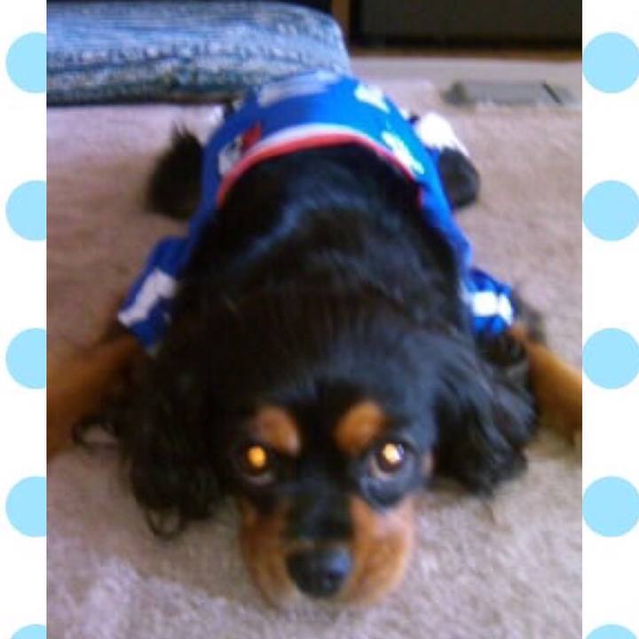 9ae64e38 4b8d 4fd0 b84f d62a46579882