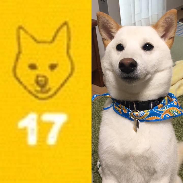 9ae6beb3 339a 437f 8a66 88162a91be61