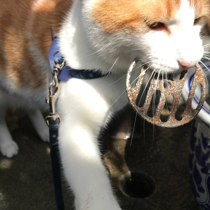 9ae6c142 b0f2 47ee bb9c 4a150a91447b