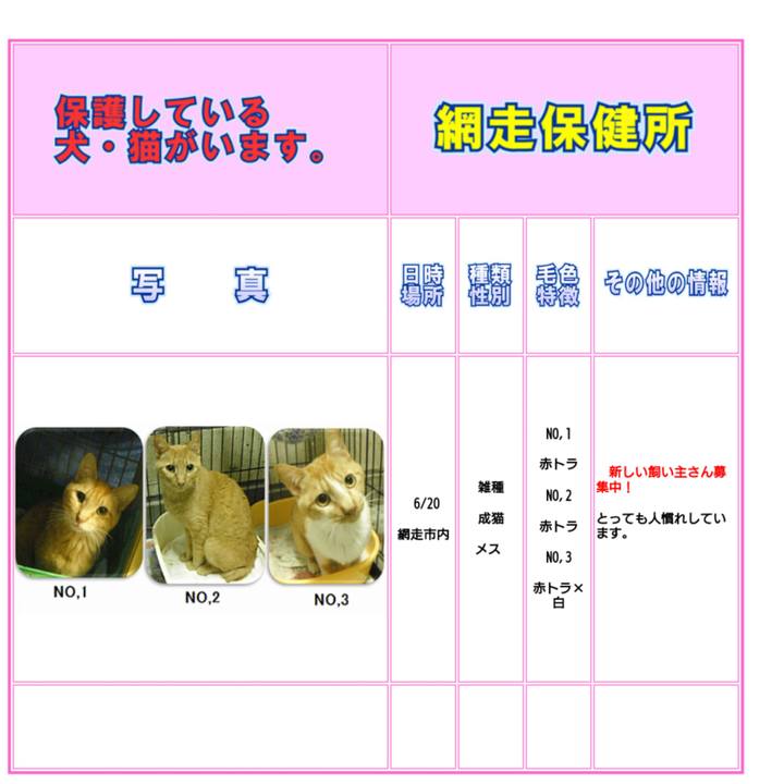 9ae7a92f 6437 4499 bcd9 dedb3bb76781