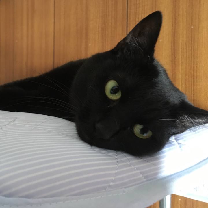 9ae7cf30 5db9 4904 908c 13a55fc1bf7b