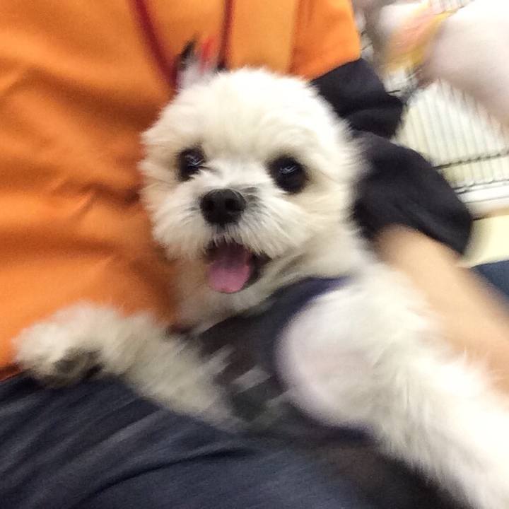 9ae7ec3e afc6 41c0 bc54 350a58d23854