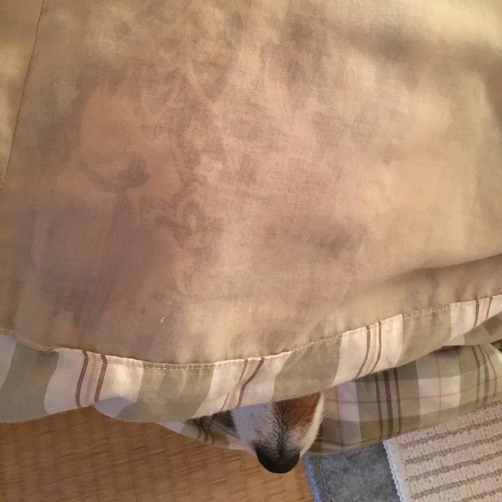 9ae8895a d7fa 4a2f 9ecc d146dbaefba3