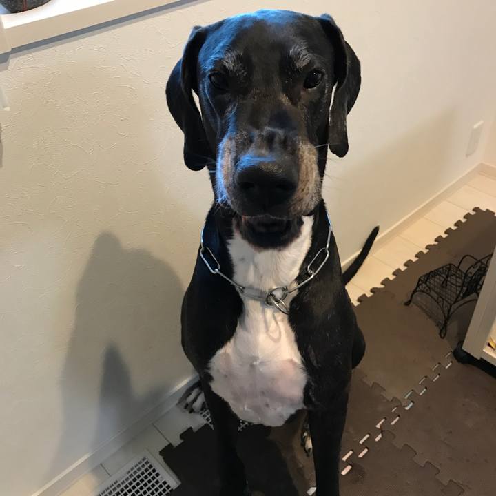 9aea186e 8c26 42d2 a13e 279c9246dab0