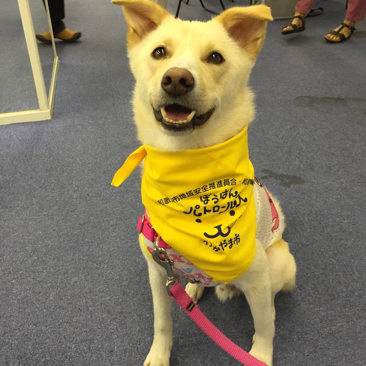 9aea91f9 397e 4937 b99e 5dd7ee3b7724