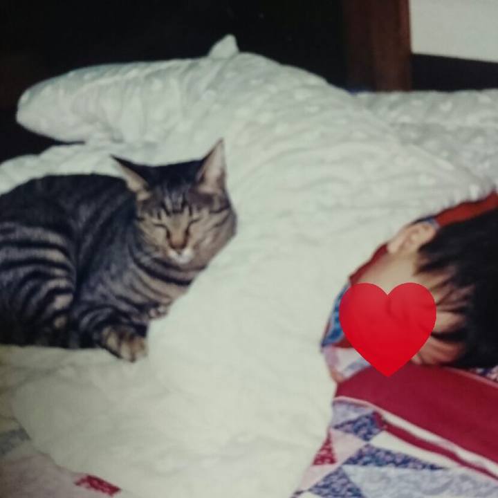 9aead149 eedb 4468 bcf4 6f9ce8f7e2c6