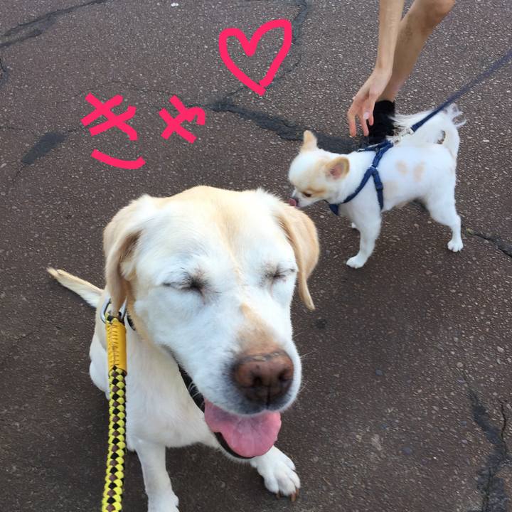 9aeadd27 3547 48be b5ba 756d3dff83ea