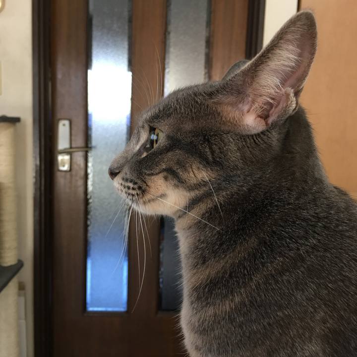 9aeafee1 8afe 4c65 acb6 7f40ddb3e62c