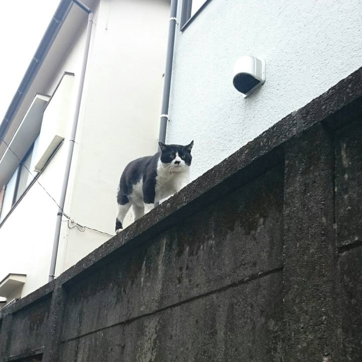 9aeb7a85 58fc 45ba aa9d 0baab9fa33f0