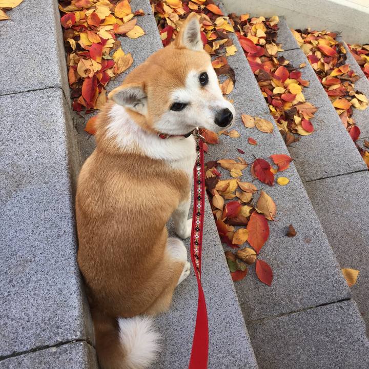 9aebadd1 7a84 426d 814d 8fe4cffadfbb