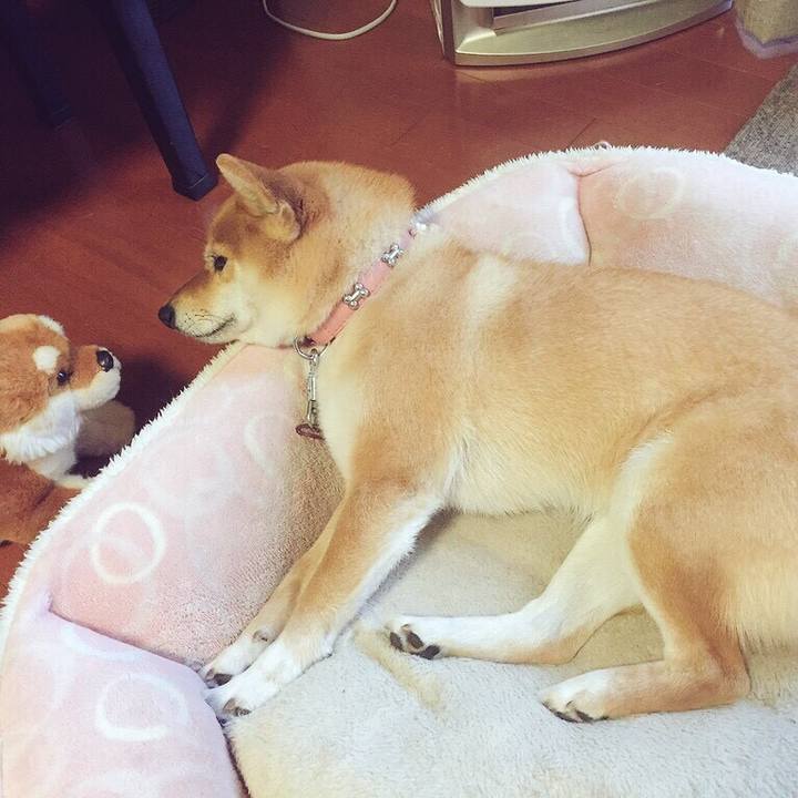 9aebf94f 4943 4607 b3fe f51408e11960