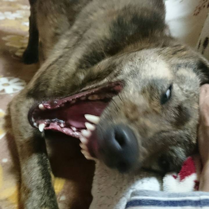 9aec0afd d7be 456f af16 5610968bd094