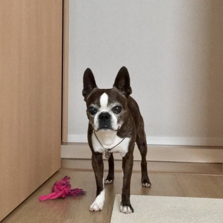 9aec16b2 5b79 4cad bd14 c847fcfd03c3