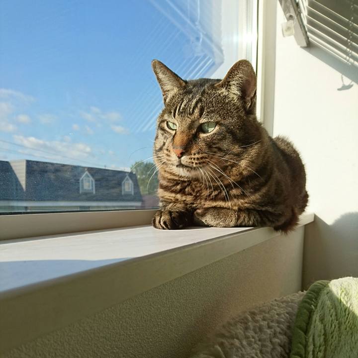 9aec9497 4f7b 422a bd3a a8a5b53d39eb