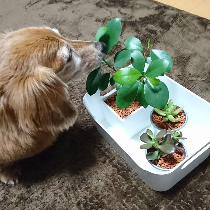 9aecf5a2 55c9 4bc4 8934 a87236fd6e6c