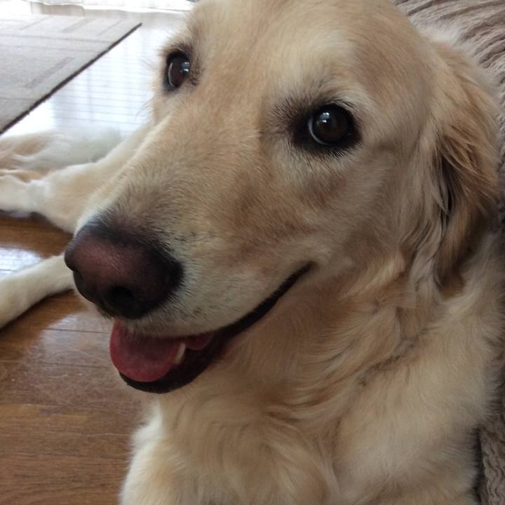 9aed3da3 f426 412b 93a0 3a43dcc77612