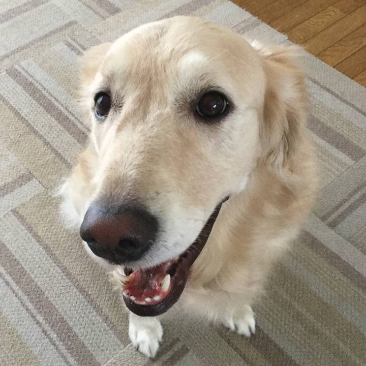 9aed449d 9884 43a5 917a e74492266680