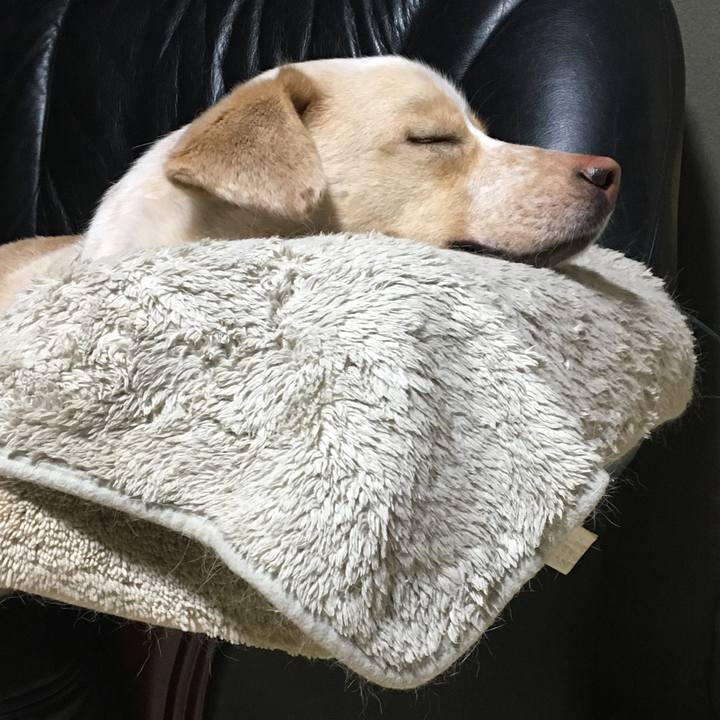 9aed7e2d 4b07 4e83 9942 41339887a9a8