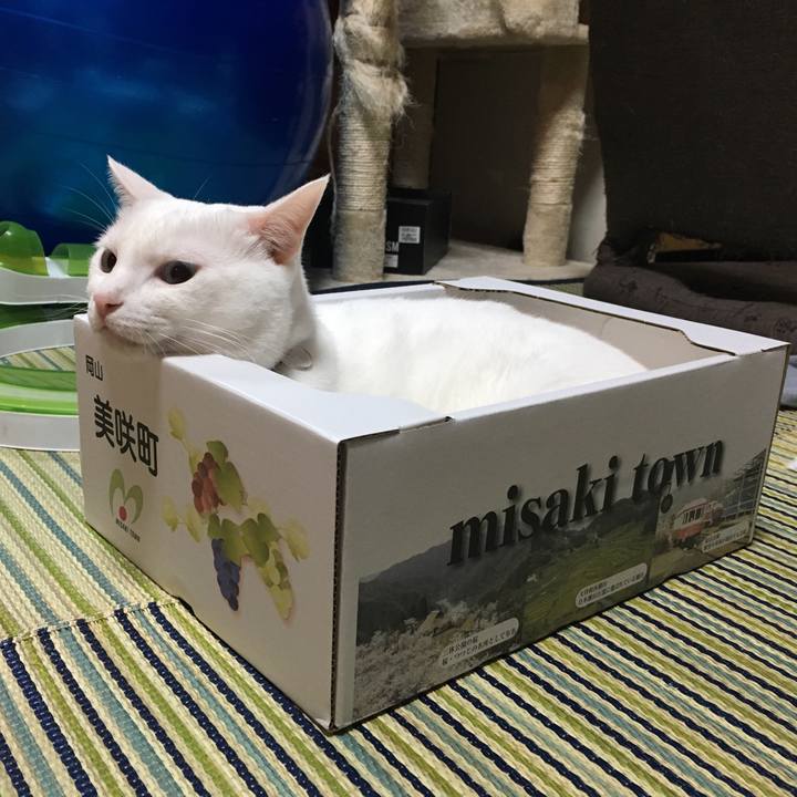 9aed8220 6d1e 410a a977 e0cc2982921d