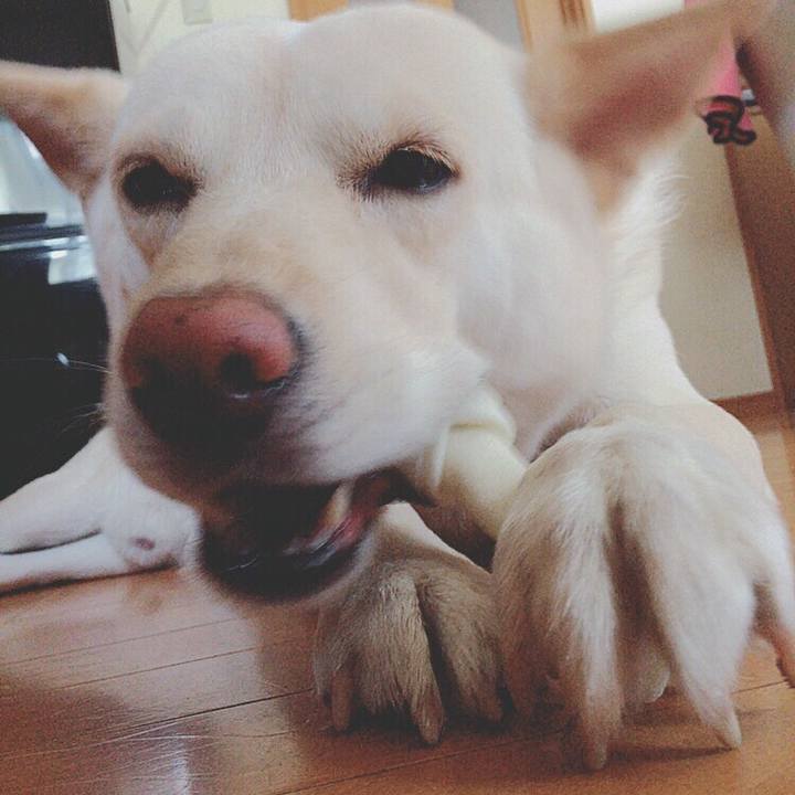 9aedc457 1de7 4383 bae5 1a8ecea70607