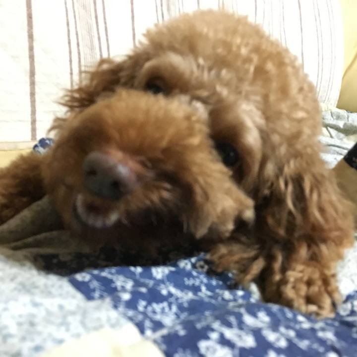 9aee2f0c 24c3 43b8 9989 5fb88358a6b2