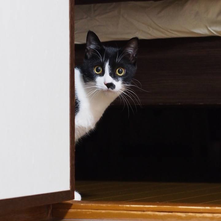 9aef84e5 a170 4484 8080 02e72089e084