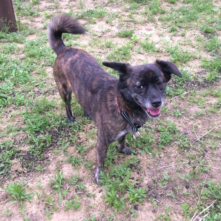 9aefe0c5 75dc 4308 a9d9 8c924c73896c