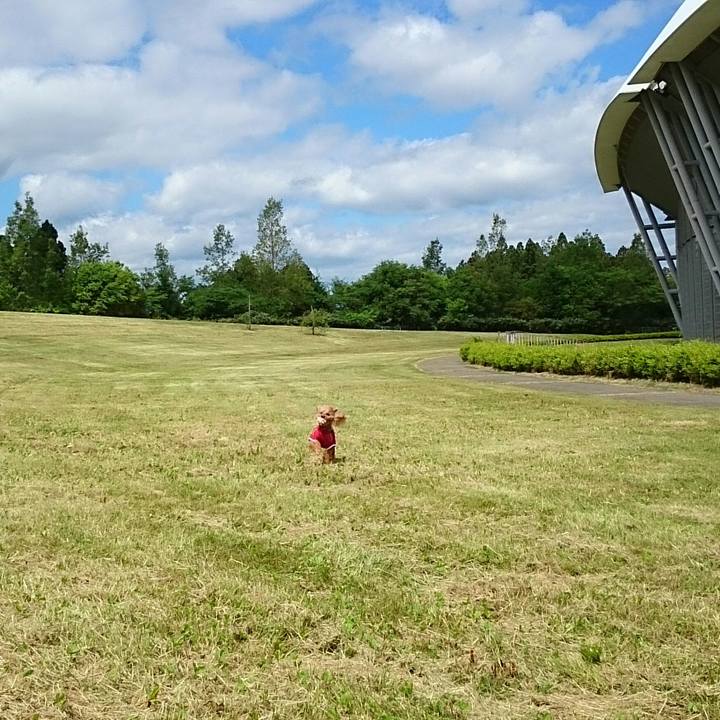 9af013a4 1628 4071 ac9b da99d4635a46