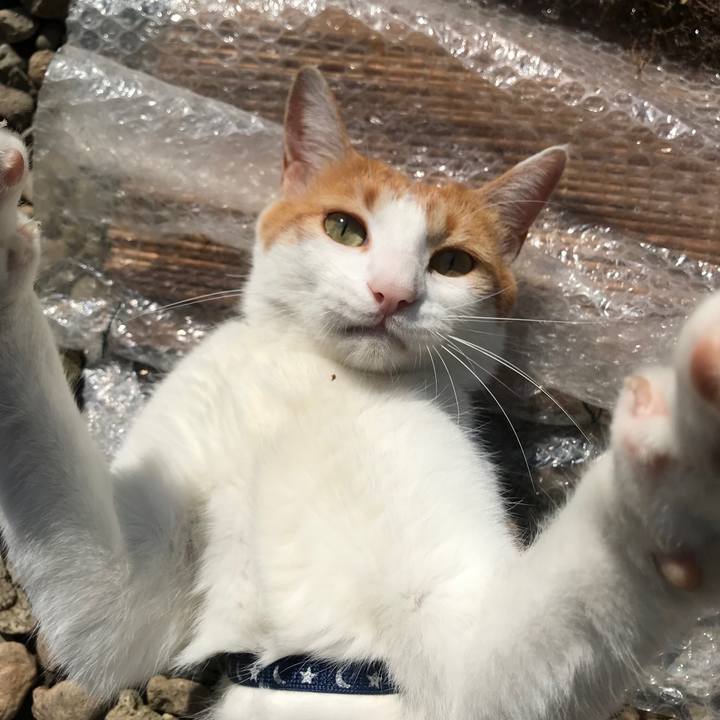 9af073db ef33 4c43 ac48 3abc2870206a