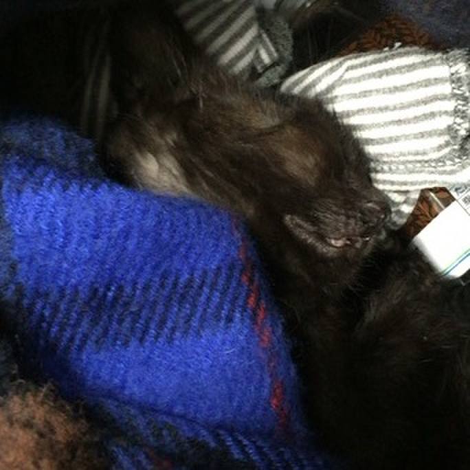 9af1e00d 3f8b 44a5 ba36 ba35c4e09a3b