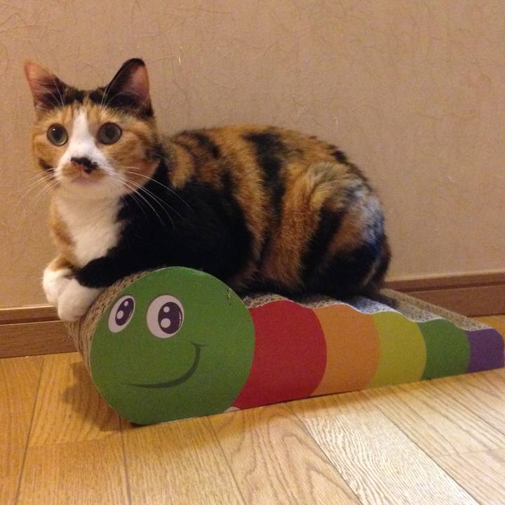 9af25ff9 7096 419f 81a9 d4e69db61a9a