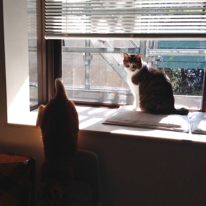 9af2ca71 ade6 4db4 b5bc e2e0e336f83a