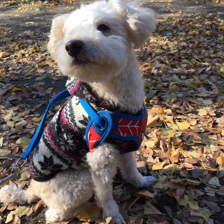 9af326f0 3164 4423 847a 49efc5c82e87