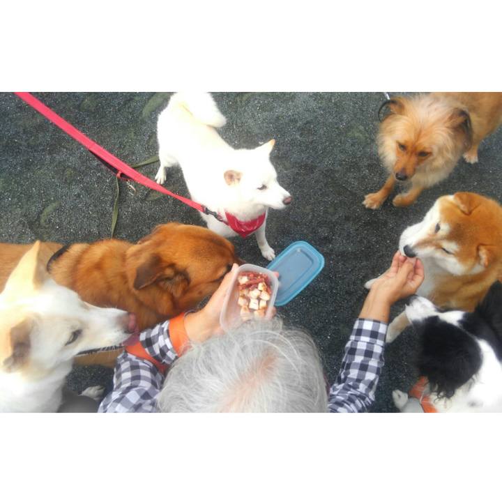 9af3785d 2bae 4169 b19b ad28f5da9e5c