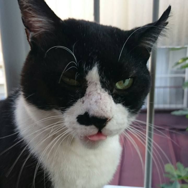 9af45813 e210 49c5 b0fe 76ec547abf49