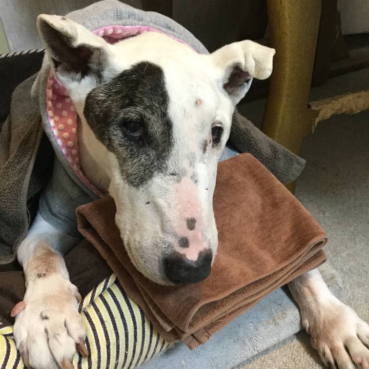 9af5070f e509 4510 95ae b90fbfe83cc3