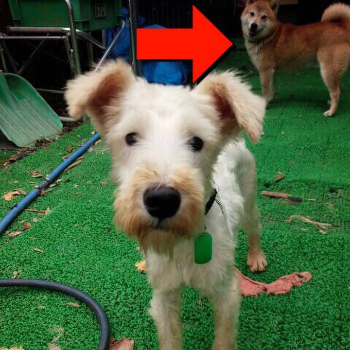 9af51b65 7007 407f ba02 baa02d34174c