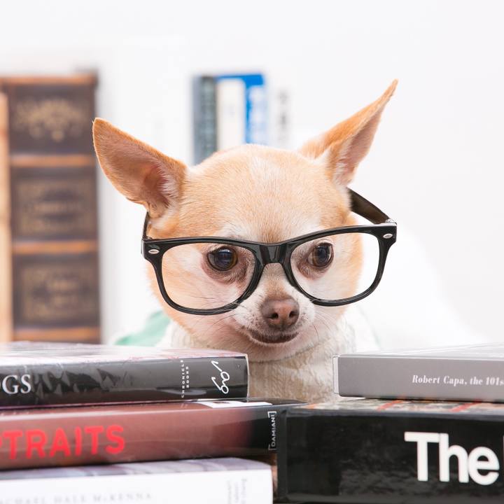 9af5b454 36a5 4579 bbb0 b1ec49bea07a