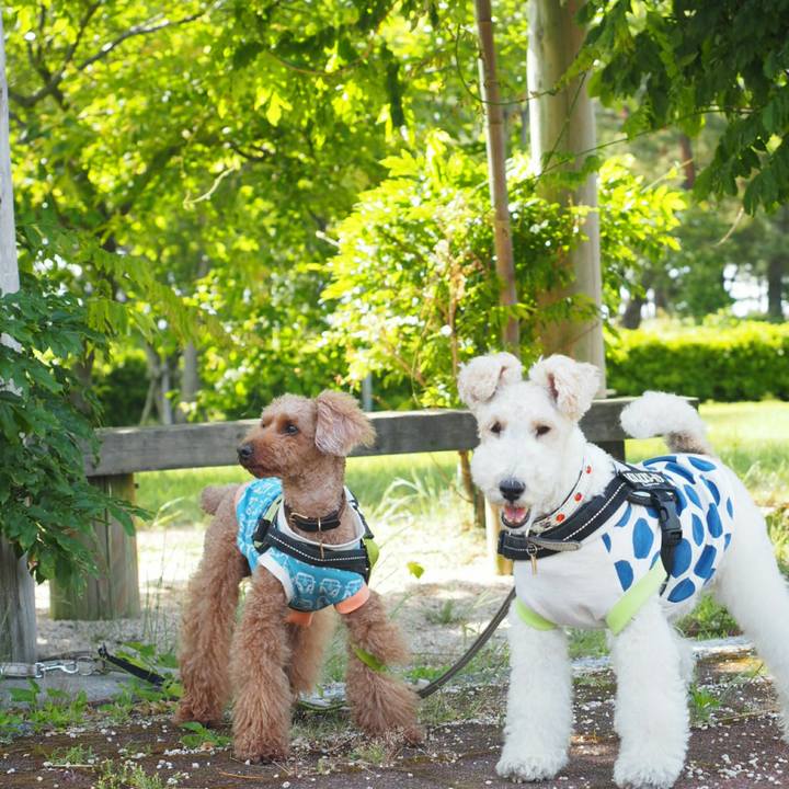 9af64804 b8be 4349 9288 a676c5c00184