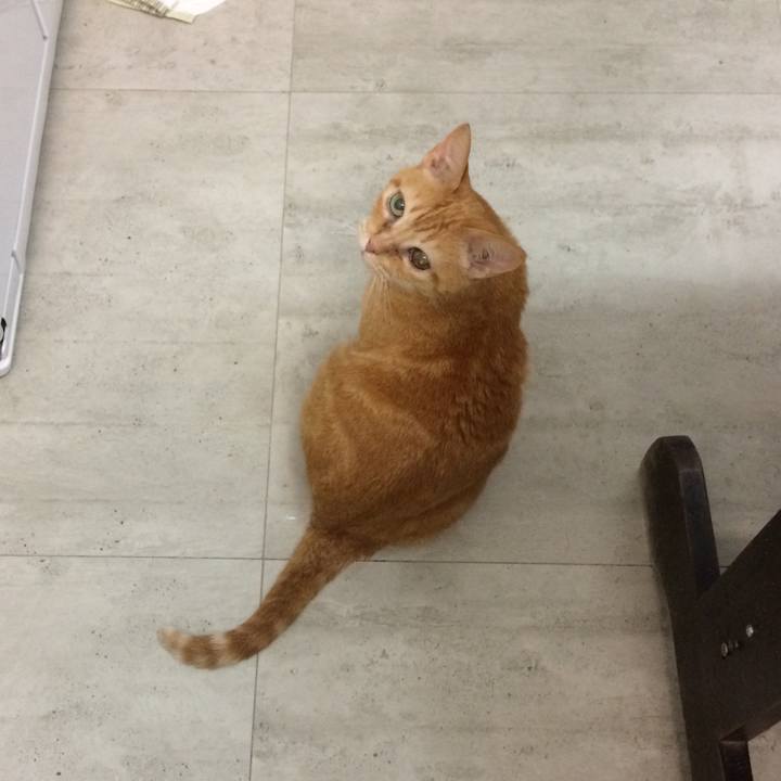 9af65f39 1f2f 4d7c b40f ce870cf610a1